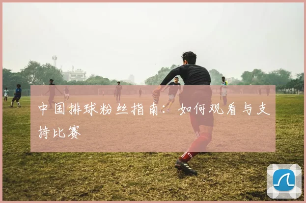 中国排球粉丝指南:如何观看与支持比赛