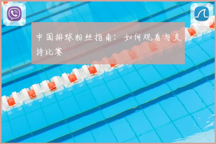中国排球粉丝指南:如何观看与支持比赛