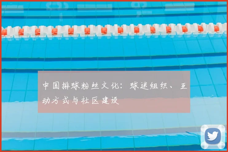 中国排球粉丝文化:球迷组织、互动方式与社区建设