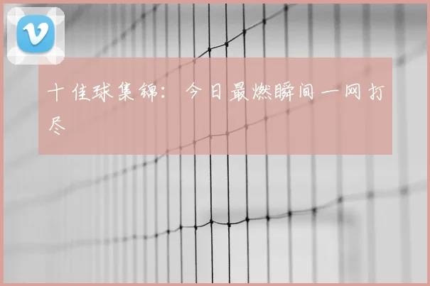 十佳球集锦:今日最燃瞬间一网打尽