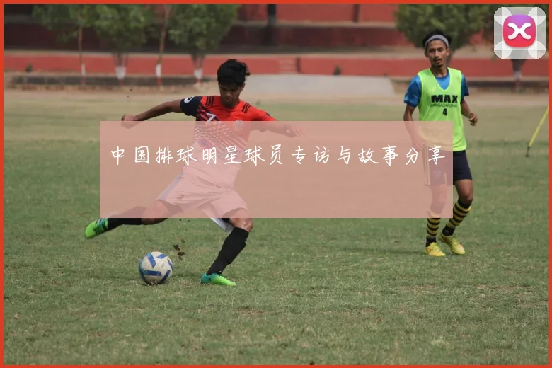 中国排球明星球员专访与故事分享