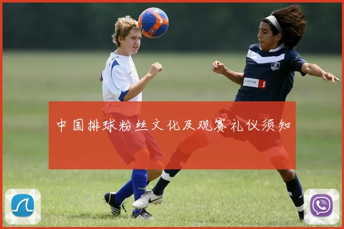 中国排球粉丝文化及观赛礼仪须知