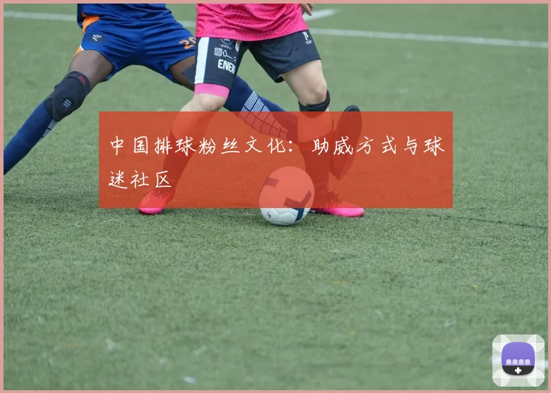 中国排球粉丝文化：助威方式与球迷社区