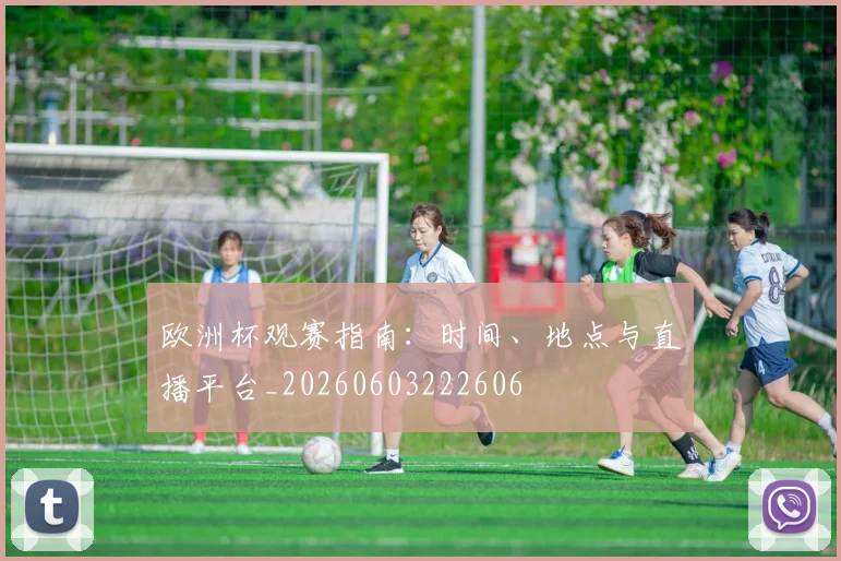 欧洲杯观赛指南:时间、地点与直播平台_20260603222606