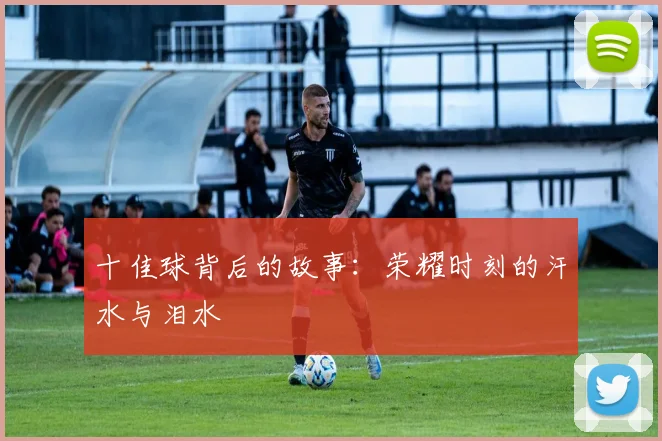 十佳球背后的故事:荣耀时刻的汗水与泪水