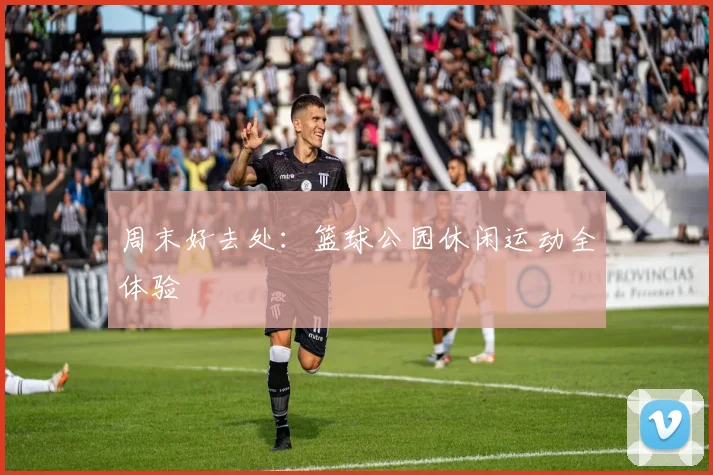 周末好去处：篮球公园休闲运动全体验