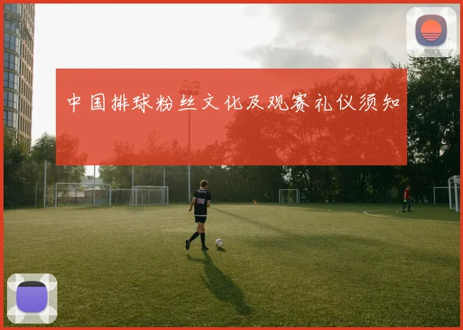 中国排球粉丝文化及观赛礼仪须知