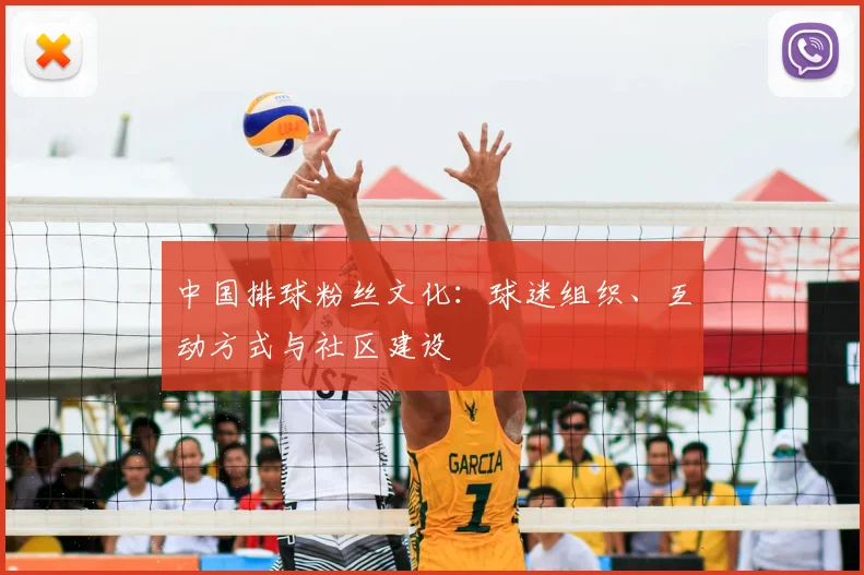 中国排球粉丝文化:球迷组织、互动方式与社区建设