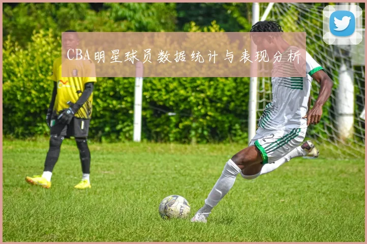 CBA明星球员数据统计与表现分析